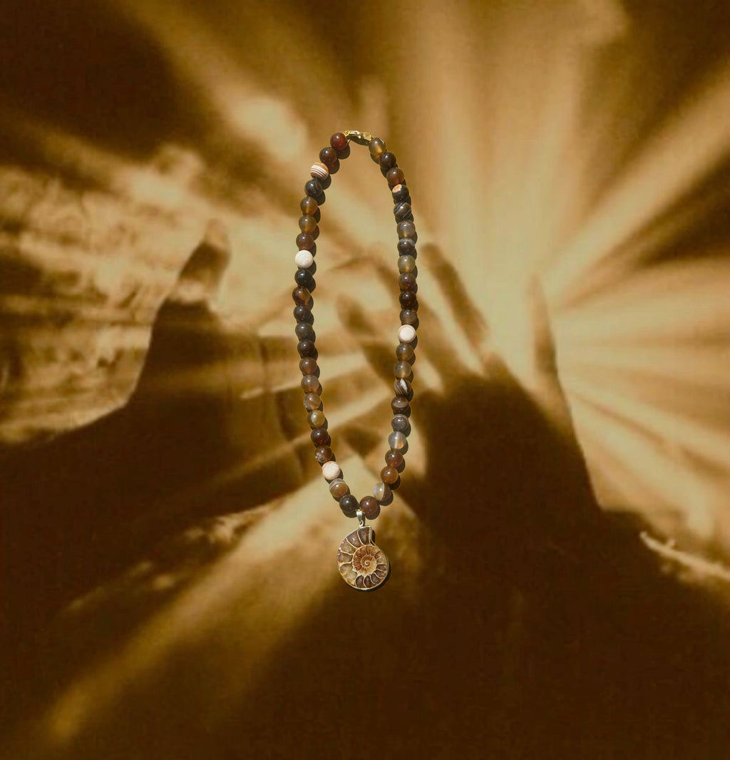 Ammonite image 0